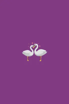Swan Lovers Bucket List Journal: Couples Adventure Notebook Paperback  July 25, 2022